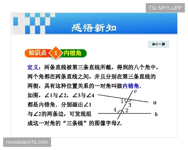 门线判定规则:关键判罚标准与VAR辅助应用解析 门线判定规则:关键判罚标准与VAR辅助应用解析